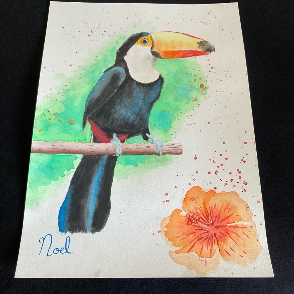 HAND PAINTED ORIGINAL WATERCOLOR - TOUCAN